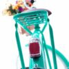 Bicicleta Vintage Vênus Green Feminina Echo Vintage