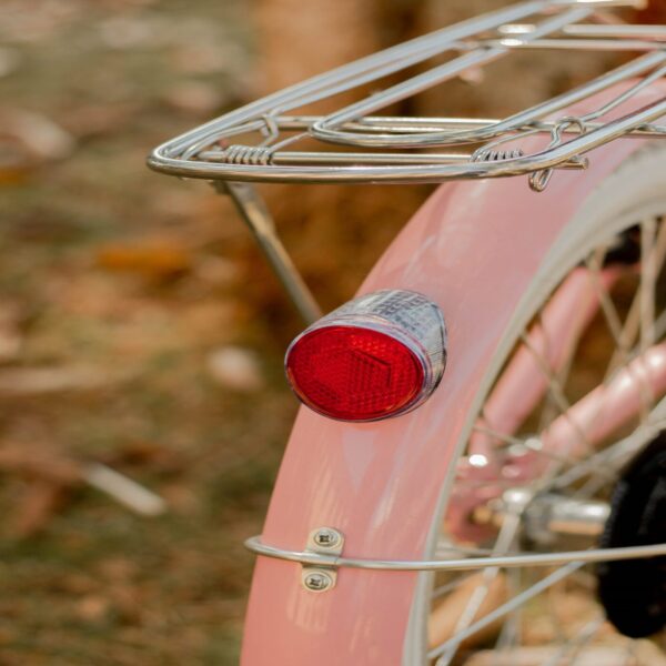 Bicicleta Dobrável Rosa Echo Vintage