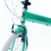 Bicicleta Dobrável Fênix Green com Acessórios e Bolsa Echo Vintage